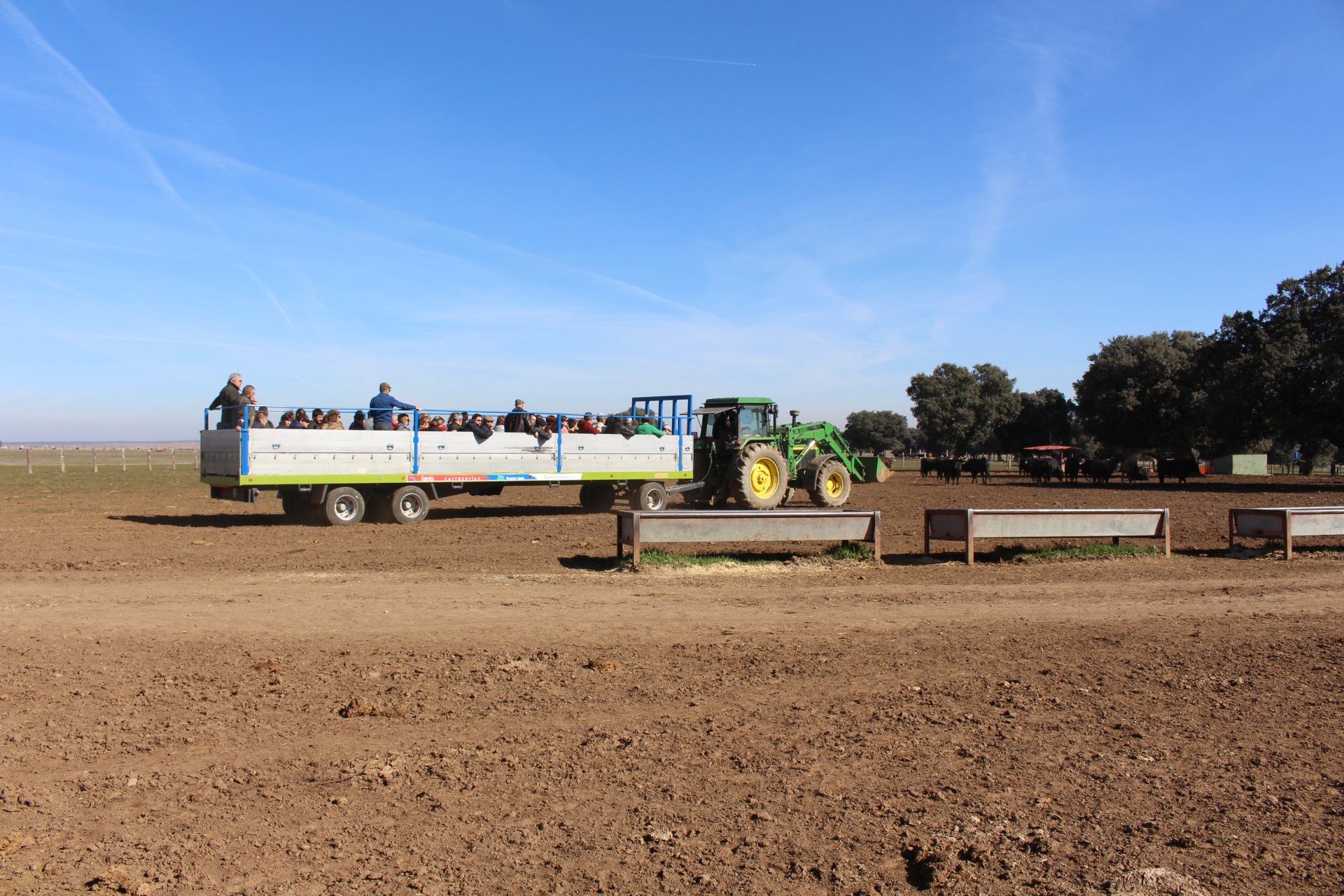 Remolque de visitantes con los toros bravos al fondo